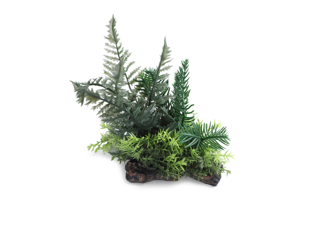 Laguna TERRA Растение пластиковое "Флебодиум", зелено-коричневое, 150*80*150мм