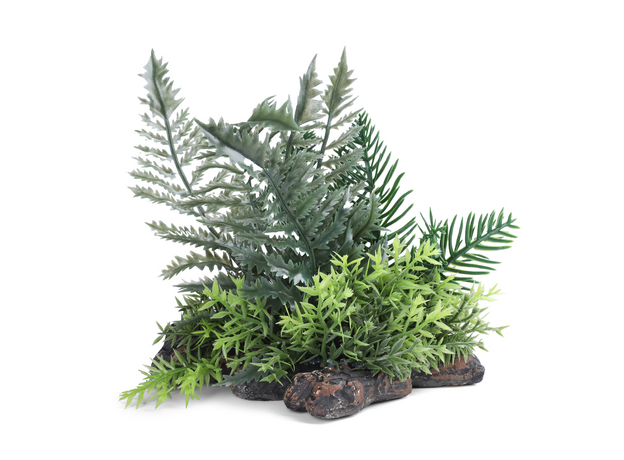 Laguna TERRA Растение пластиковое "Флебодиум", зелено-коричневое, 150*80*150мм