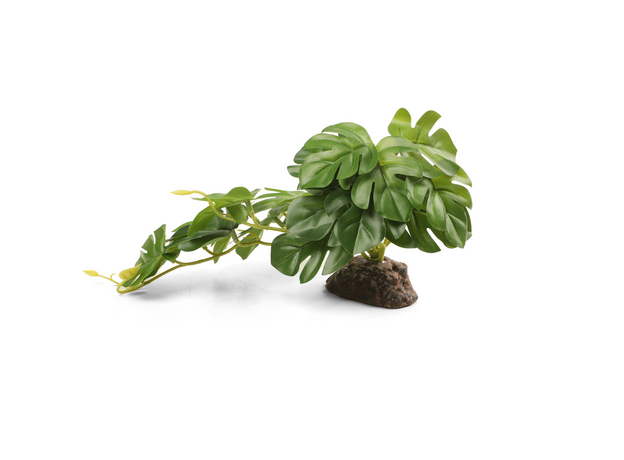 Laguna TERRA Растение пластиковое Монстера, зеленое, 260х150х140 мм