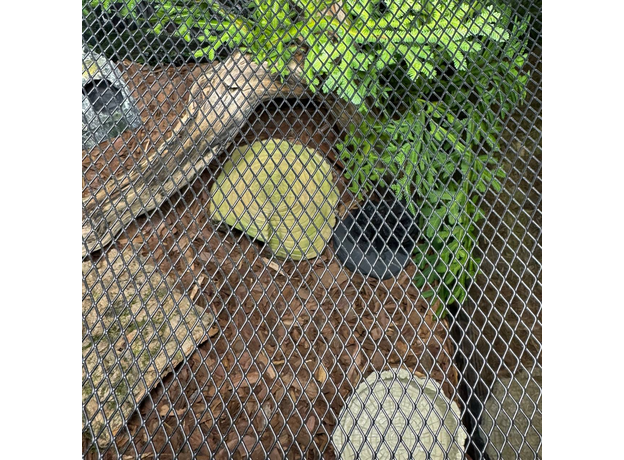 Террариум EXODESIGN Т-60, 450х450х300, модель S, вент 7 см