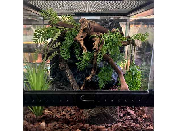 Террариумный комплект "Ветвистый утёс"