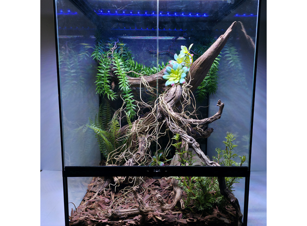 Террариумный комплект "Лесной оракул"