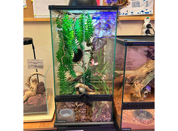 Террариумный комплект "Хотарио"