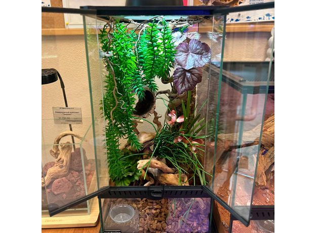 Террариумный комплект "Хотарио"