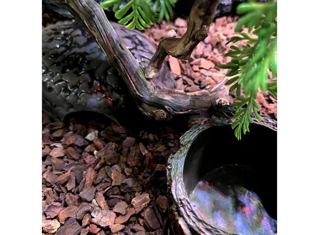 Террариумный комплект "Ветвистый утёс"