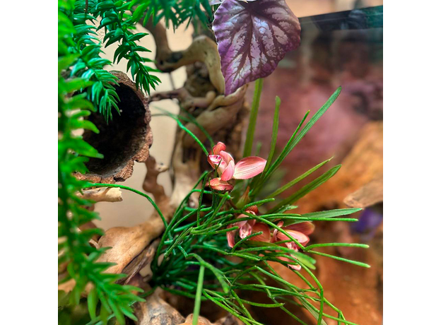 Террариумный комплект "Хотарио"