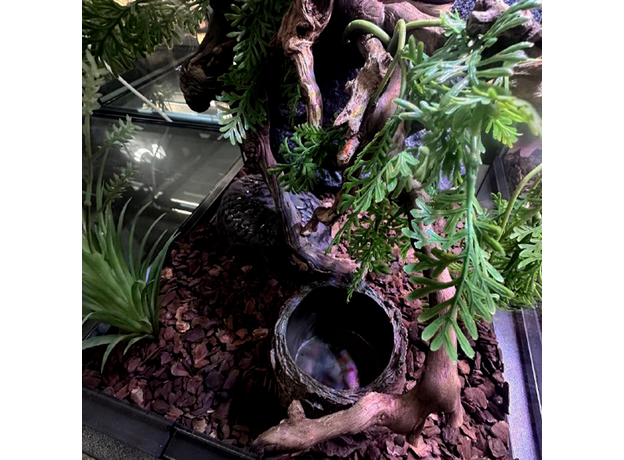 Террариумный комплект "Ветвистый утёс"