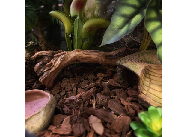 Террариумный Комплект "Ловушка Джунглей"