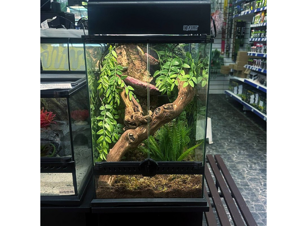 Террариумный комплект "Трутовик"