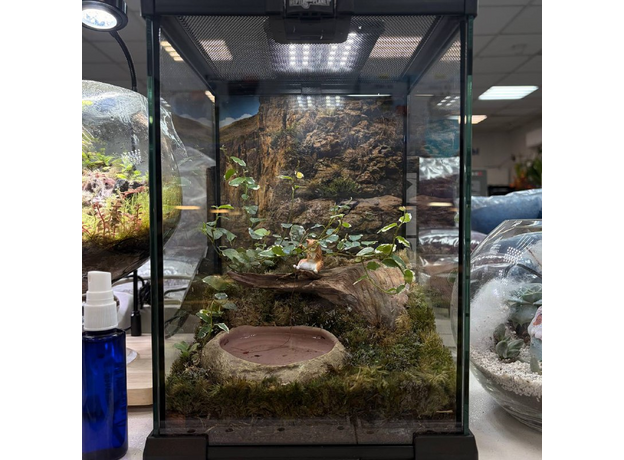 Флорариумный комплект "Эхо Каньона"