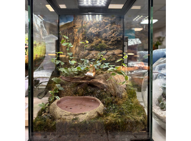 Флорариумный комплект "Эхо Каньона"