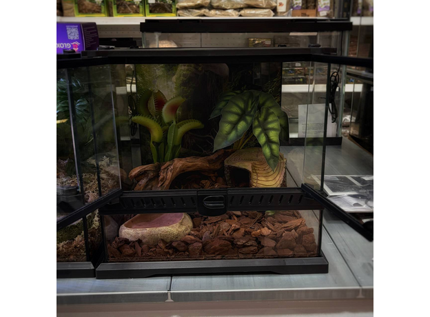 Террариумный Комплект "Ловушка Джунглей"