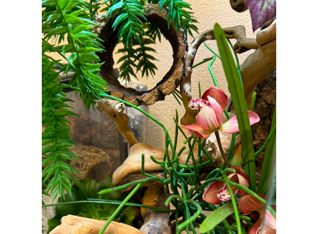 Террариумный комплект "Хотарио"