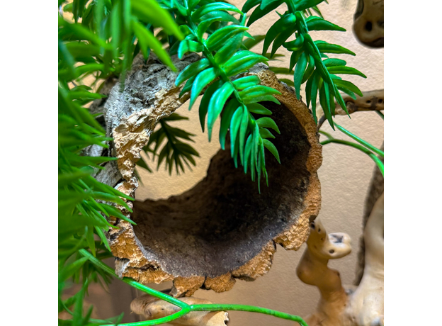 Террариумный комплект "Хотарио"