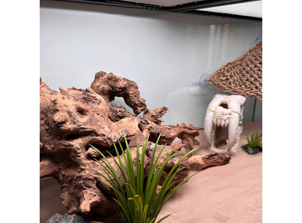 Террариумный комплект "Кайнозой"