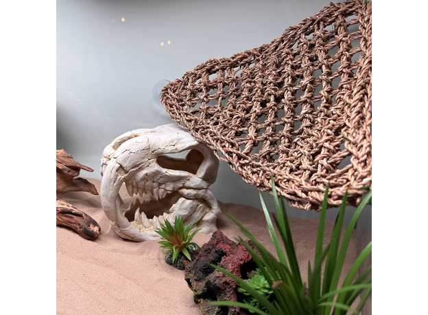 Террариумный комплект "Кайнозой"