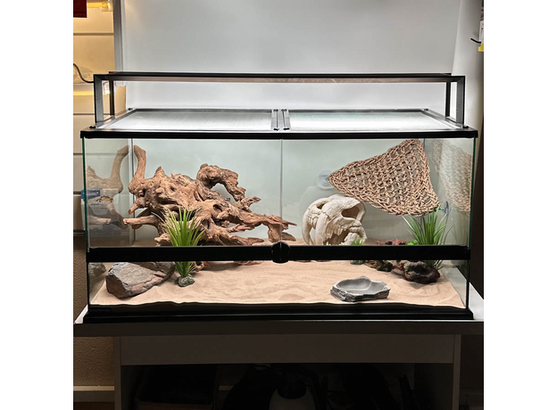 Террариумный комплект "Кайнозой"