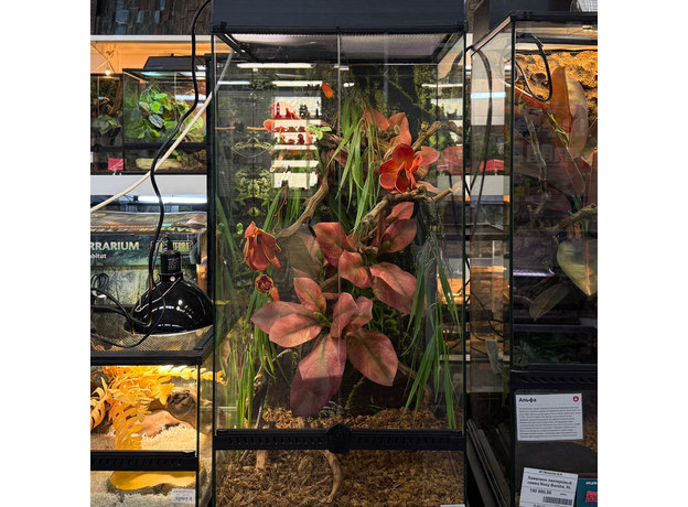 Террариумный комплект "Магнолия"