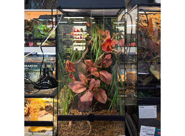 Террариумный комплект "Магнолия"