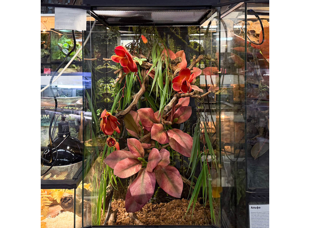 Террариумный комплект "Магнолия"