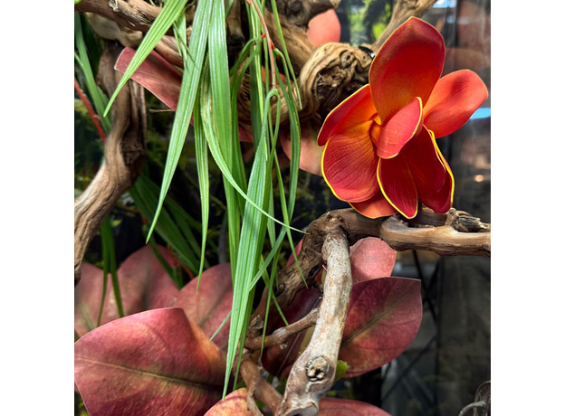 Террариумный комплект "Магнолия"