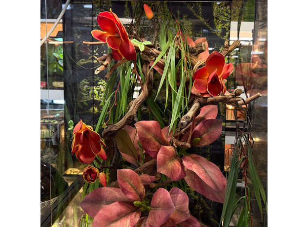 Террариумный комплект "Магнолия"