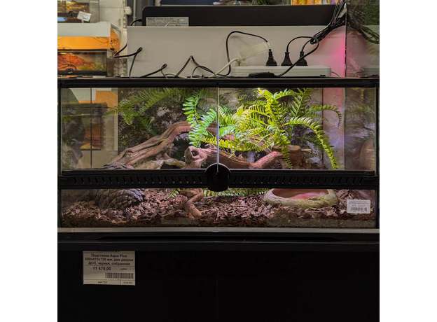 Террариумный комплект "Шишкин бор"