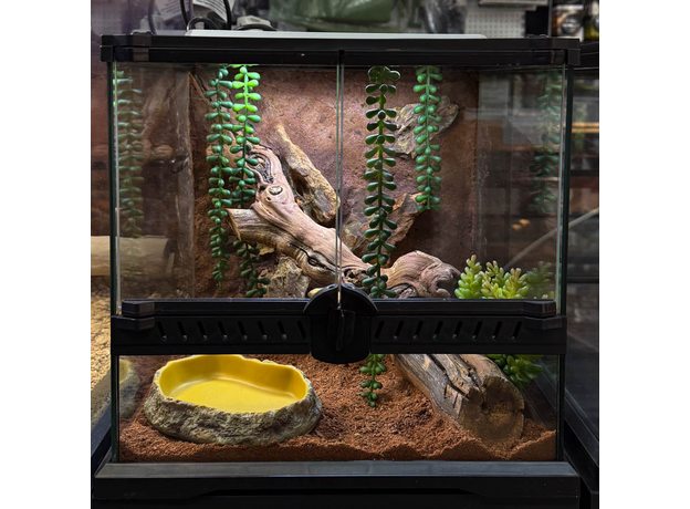 Террариумный комплект "Терракота мини"