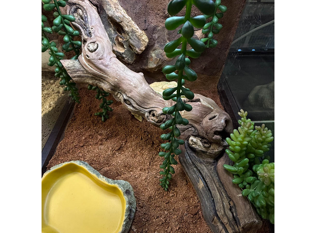 Террариумный комплект "Терракота мини"