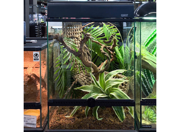 Террариумный комплект "Отпуск в тропиках"