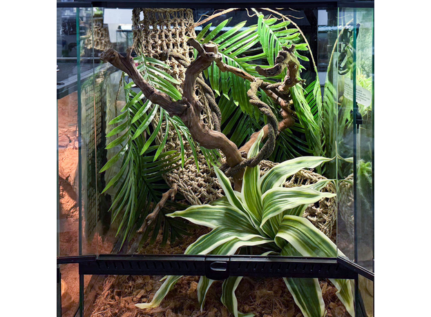 Террариумный комплект "Отпуск в тропиках"