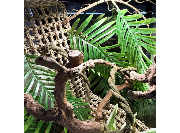 Террариумный комплект "Отпуск в тропиках"