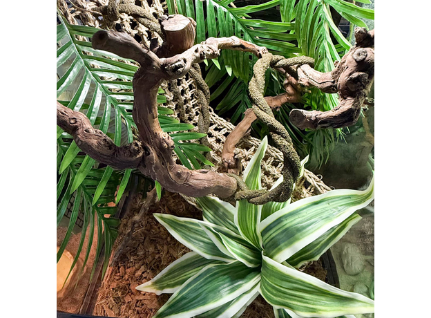 Террариумный комплект "Отпуск в тропиках"