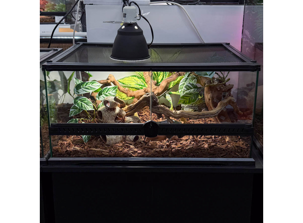 Террариумный комплект "Змееворот"