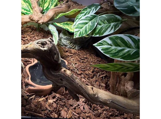 Террариумный комплект "Змееворот"