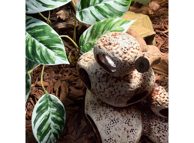 Террариумный комплект "Змееворот"