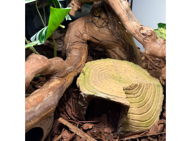 Террариумный комплект "Змееворот"