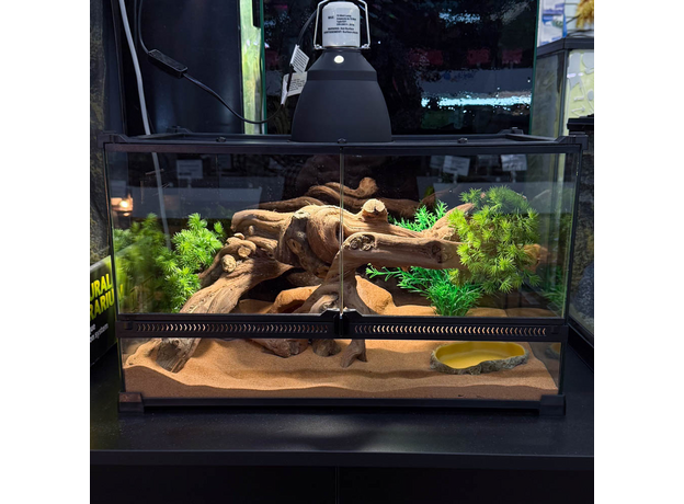 Террариумный комплект "Хвойный перевал"