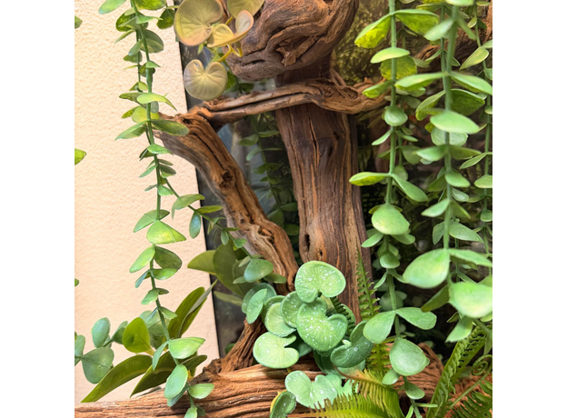 Террариумный комплект "Ривенделл"