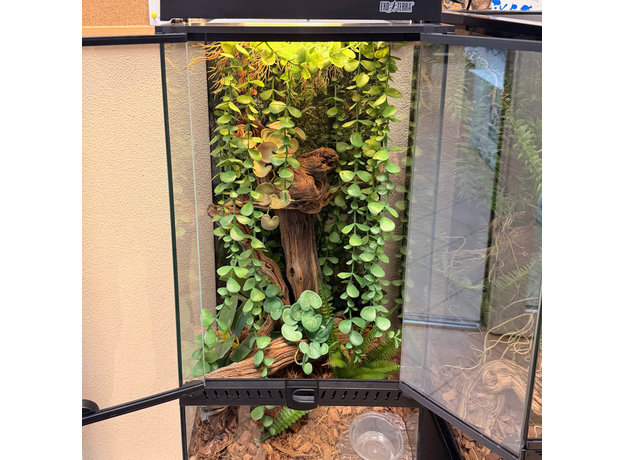 Террариумный комплект "Ривенделл"