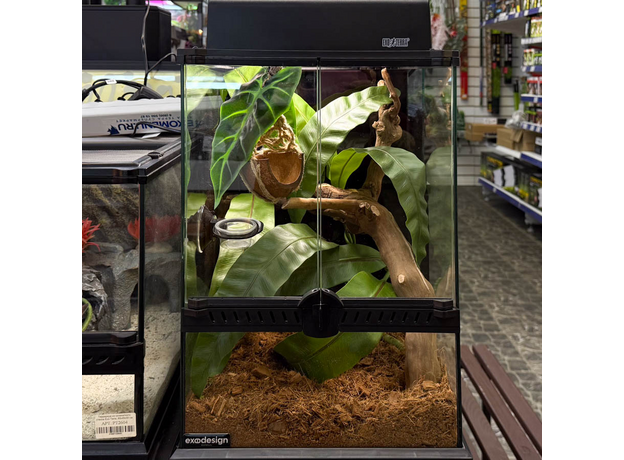 Террариумный комплект "Банановые качели"