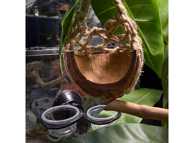 Террариумный комплект "Банановые качели"