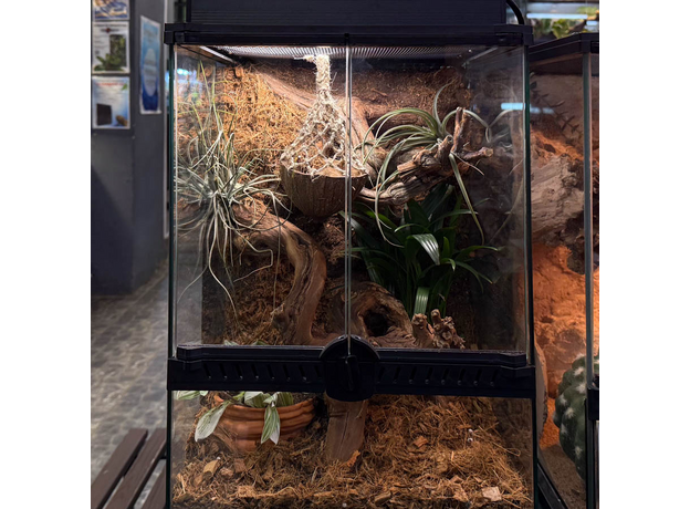 Террариумный комплект "Махагони"
