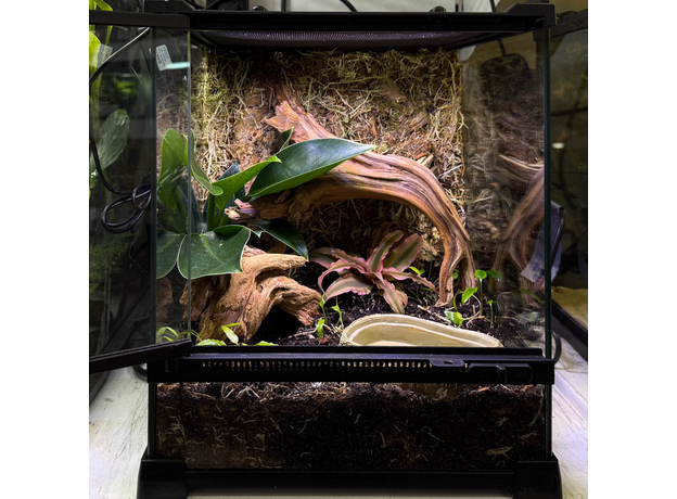 Террариумный комплект "Хранители пруда"