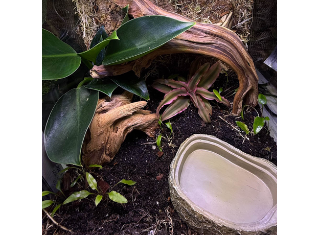 Террариумный комплект "Хранители пруда"