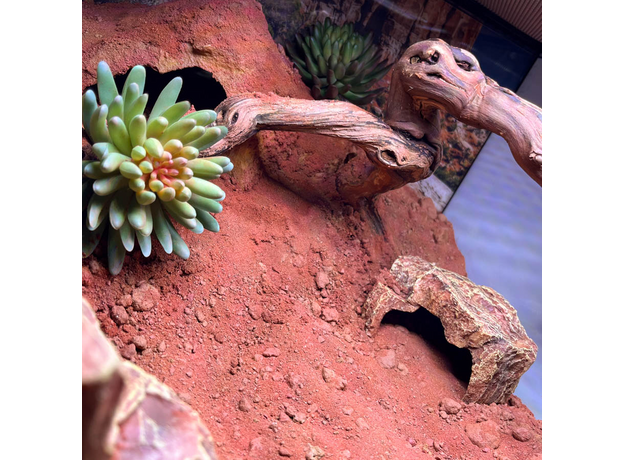 Террариумный комплект "Каменные розы"