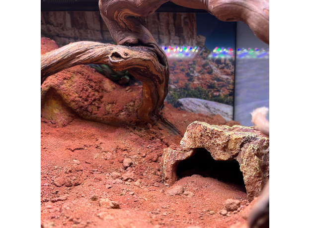 Террариумный комплект "Каменные розы"