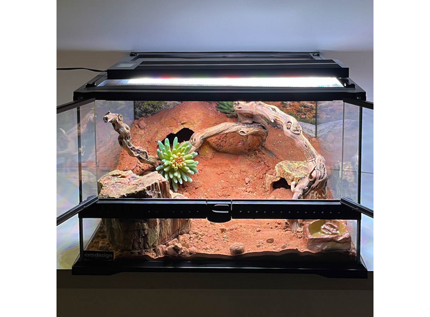 Террариумный комплект "Каменные розы"