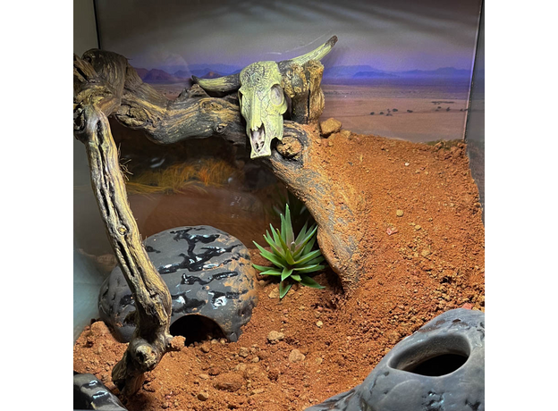 Террариумный комплет "Засуха"