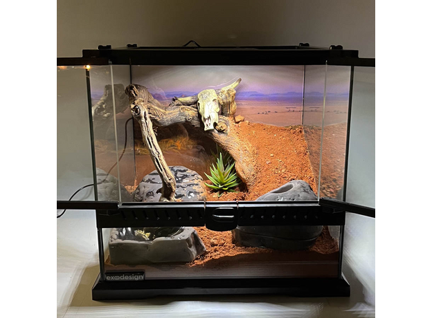 Террариумный комплет "Засуха"